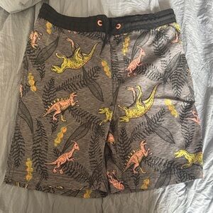 Gray Dinosaur Print Swim Trunks
